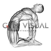 camel pose