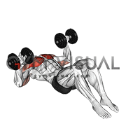 پرس سینه دمبل روی زمین
