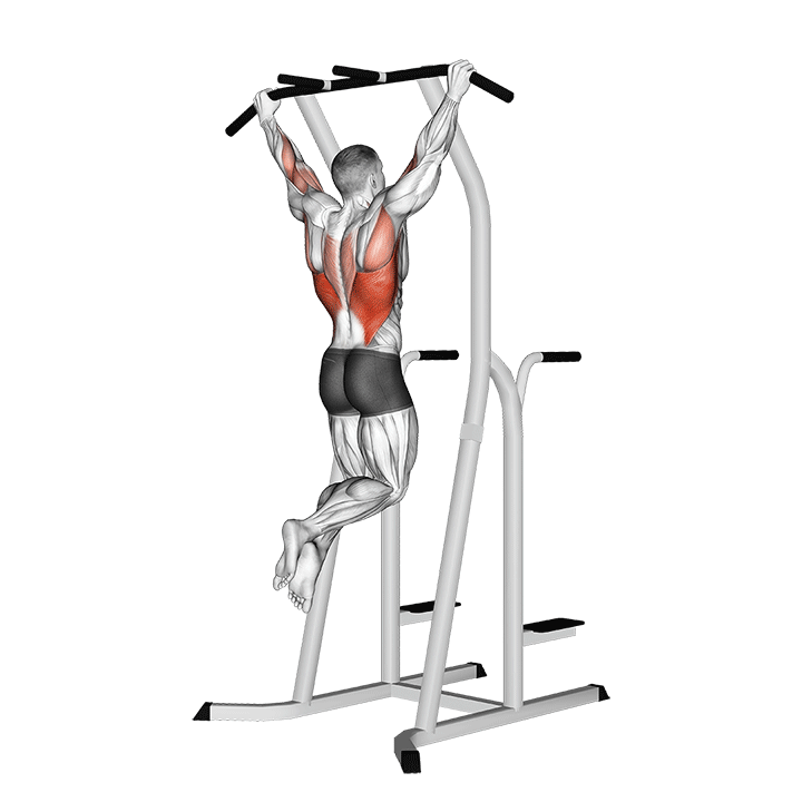 پول آپ دست باز pull up