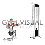 پرس سرشانه سیمکش ک دست چرخشی نشسته