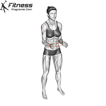 external rotation چرخش خارجی شانه با کش