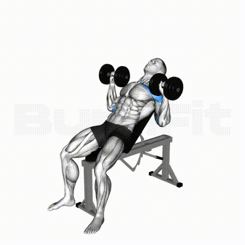 پرس بالا سینه دمبل