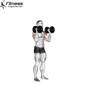 پرس سرشانه دمبل موازی ایستاده