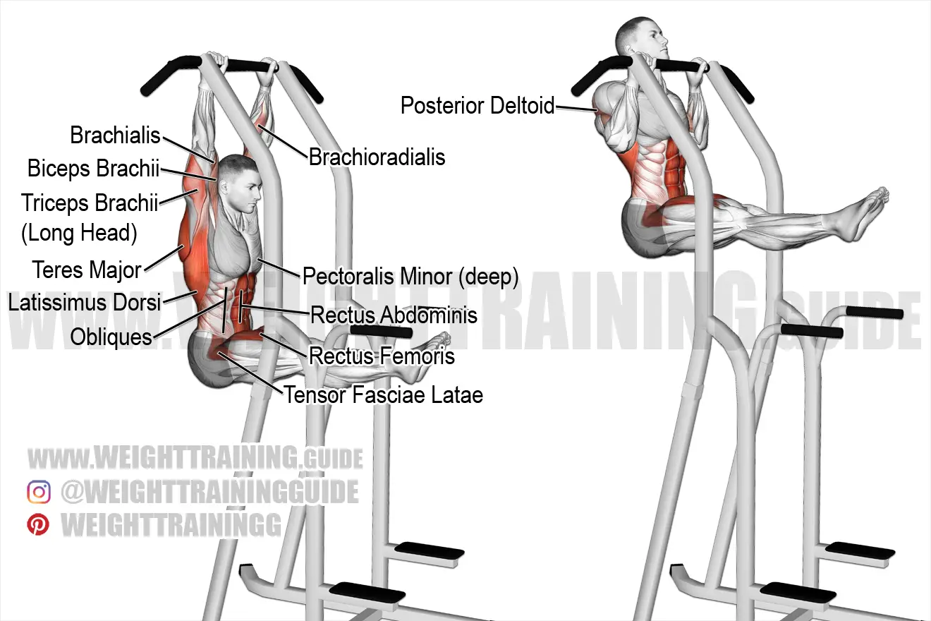 L-SIT بارفیکس