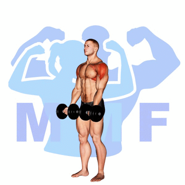 دور دنیا دمبل all around the world dumbbells